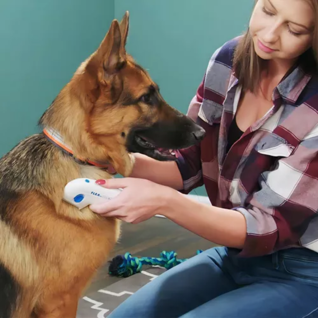 Peine Eléctrico Mata Pulgas