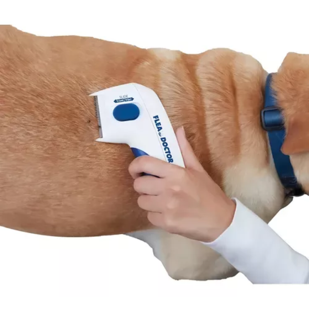 Peine Eléctrico Mata Pulgas