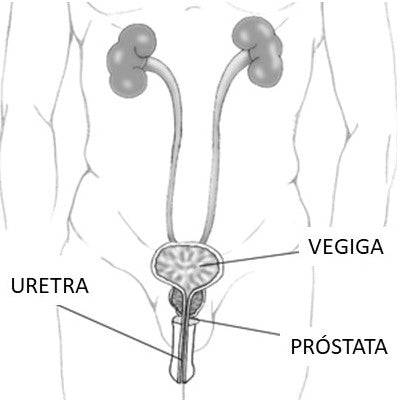 Gel para la Próstata